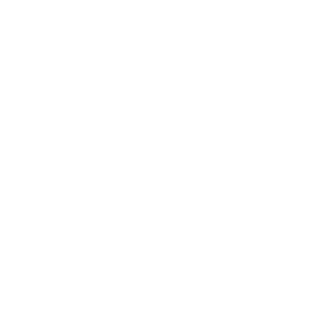 LGS 55 Main logo